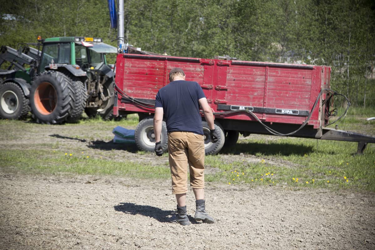 Tilan isäntä pellollaan.