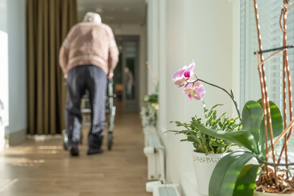 Vanhus kävelee käytävällä rollaattorin kanssa Myyrmäen vanhusten keskuksessa.