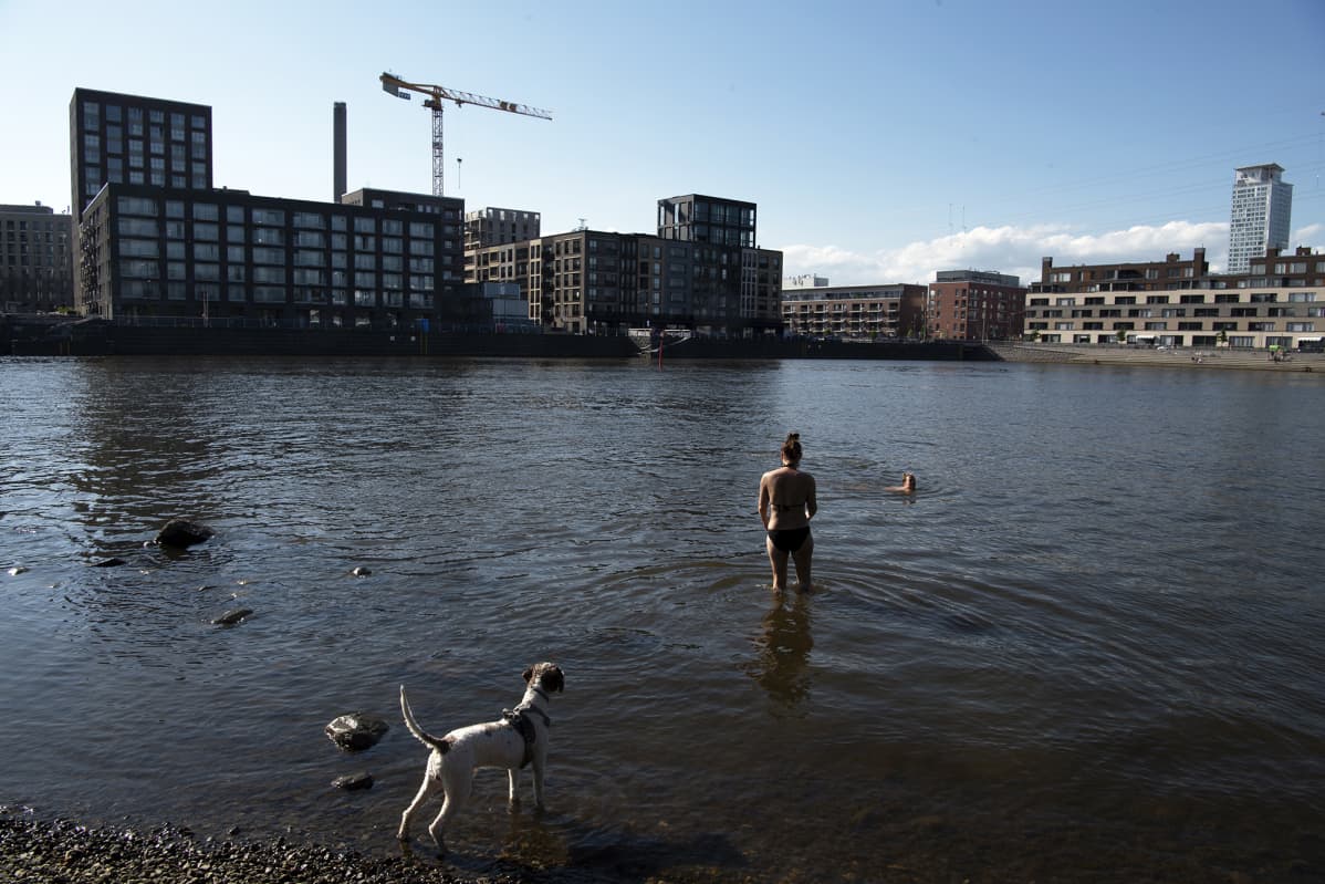 Uimareita Mustikkamaalla