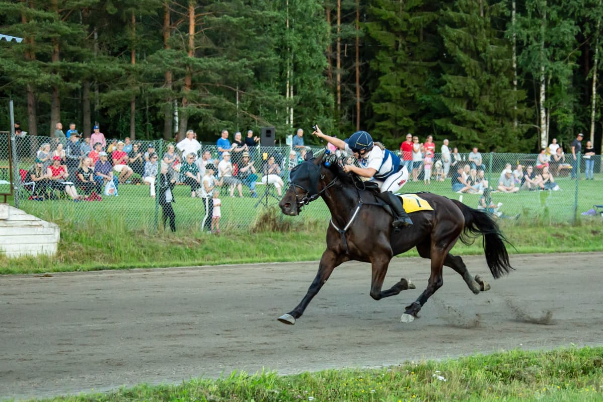 Nelly Korpikoski ja Brown Recluse