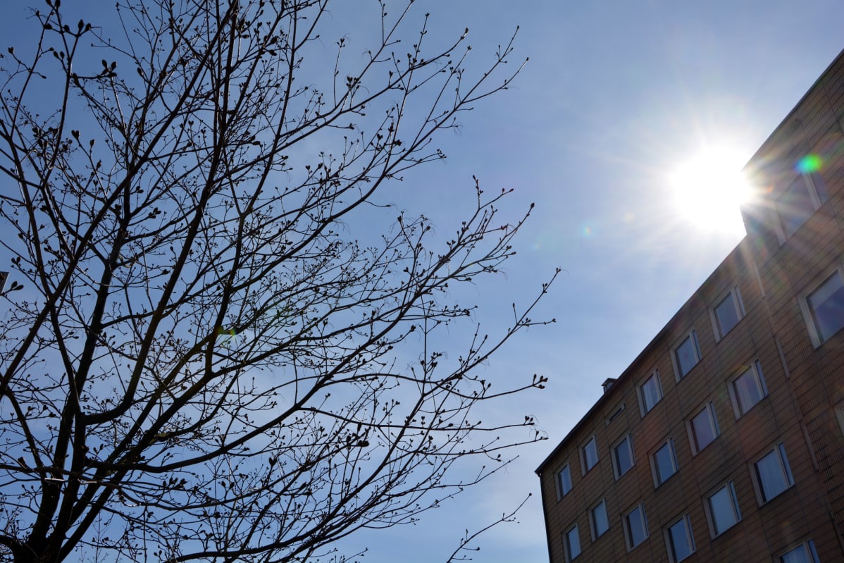 Aurinko.