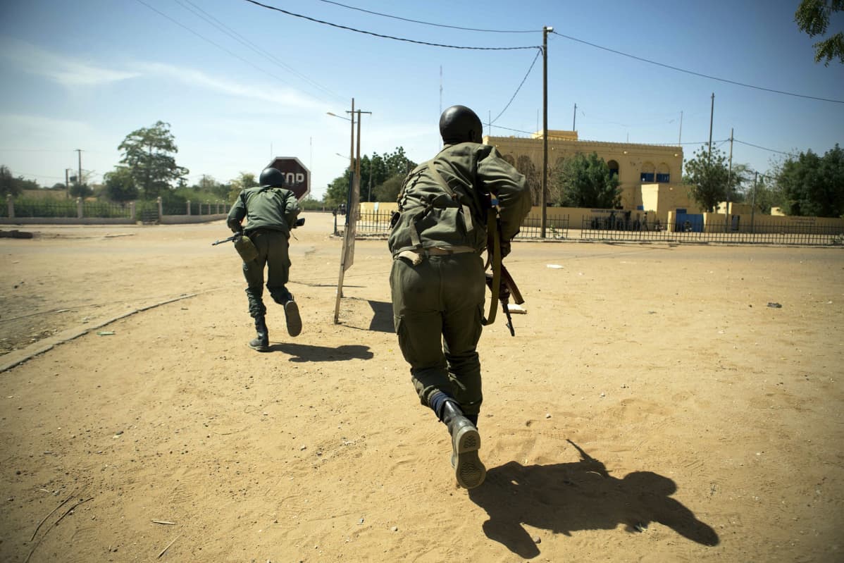 mali 203