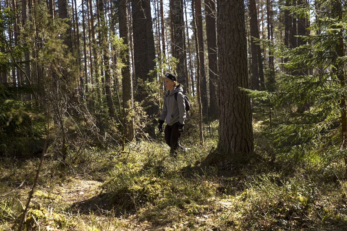 Poika kulkee metsässä.