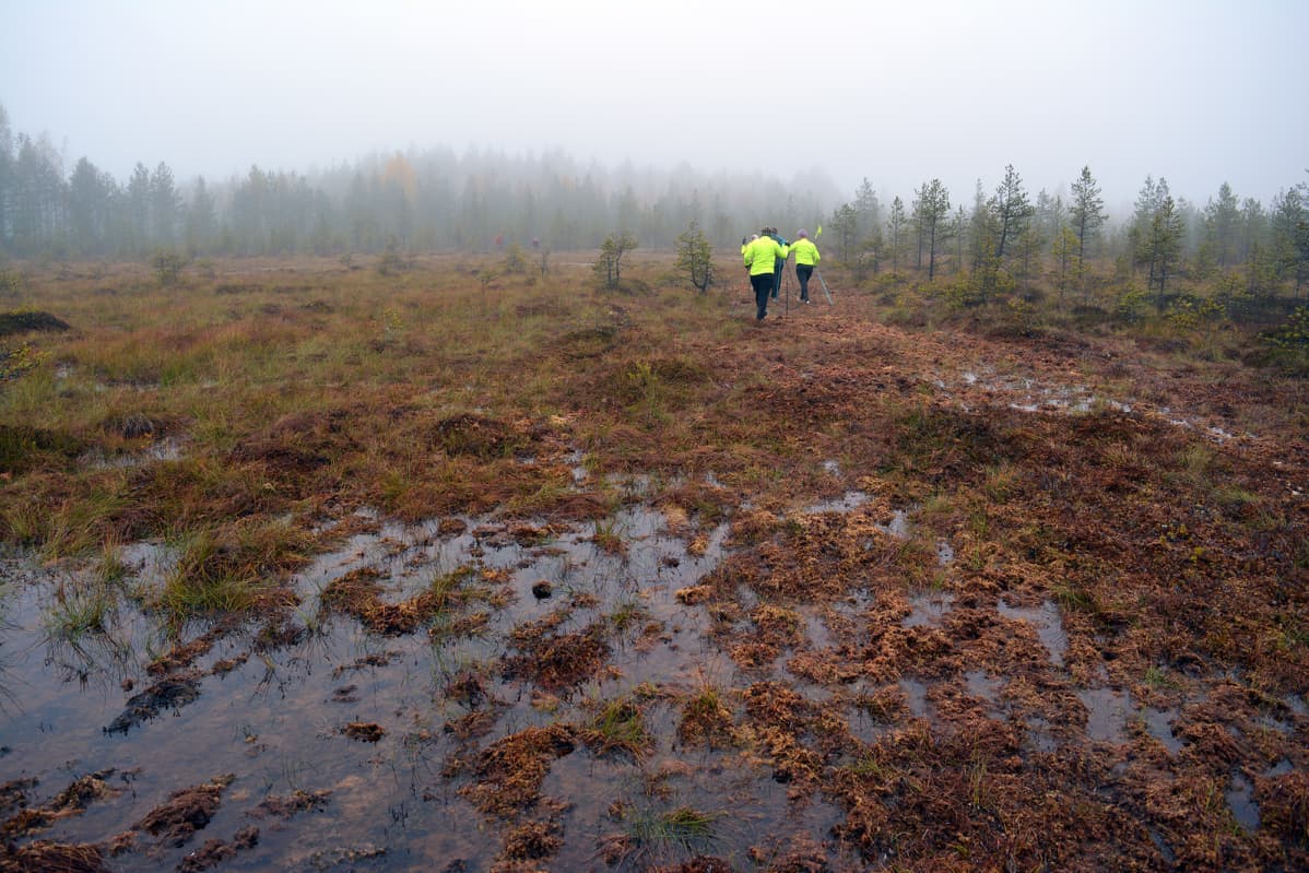 Suojuoksijoita Isonevan suolla Seinäjoella.