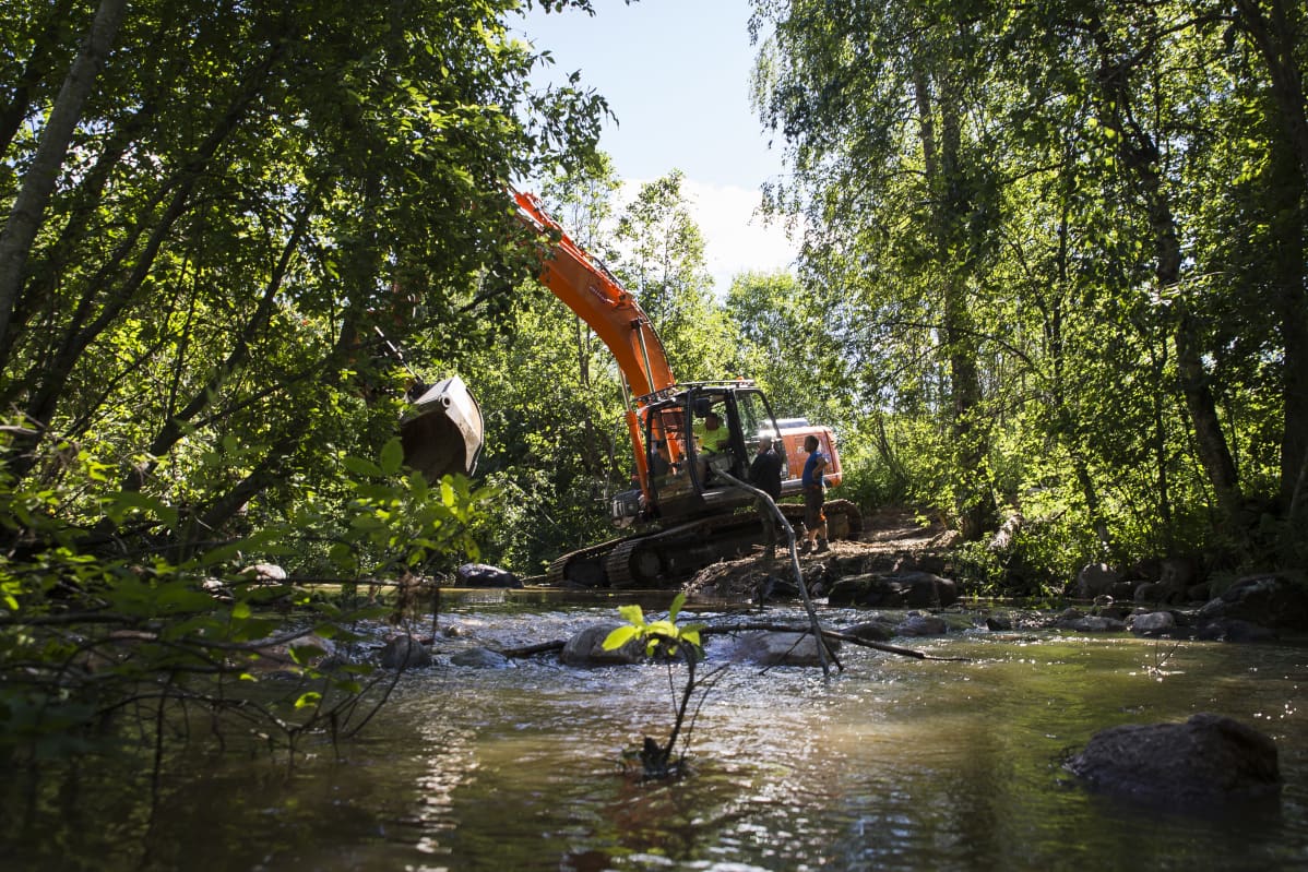Kaivinkone kunnostaa Vihtijokea
