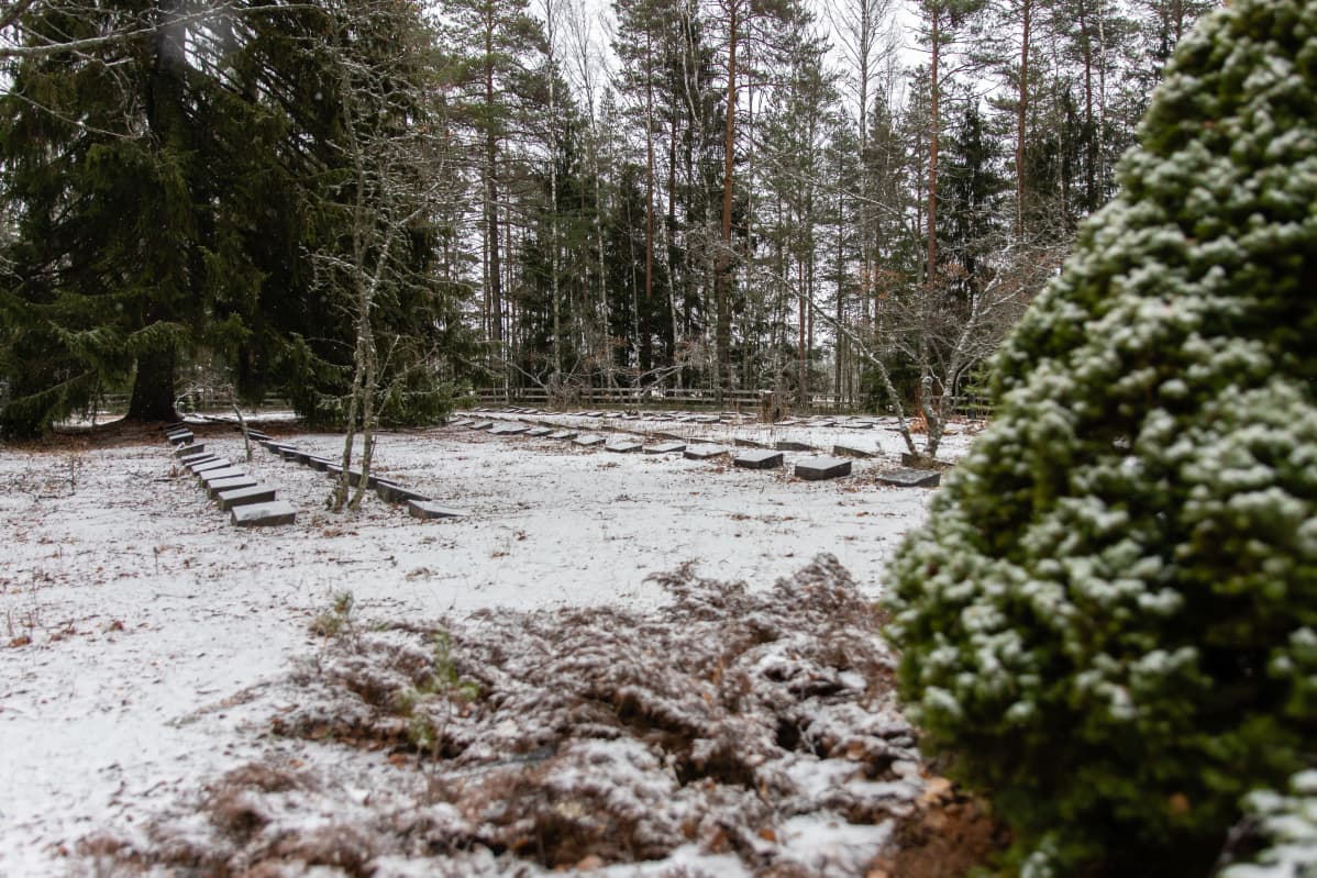 Hautakiviä Rauhan hautausmaalla.