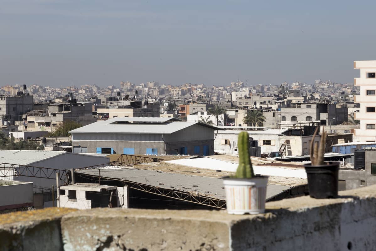 Gazan kattoja etualla kaksi kaktusta.