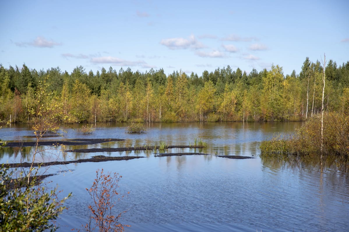 Veden peittämä entinen turvetuotantoalue