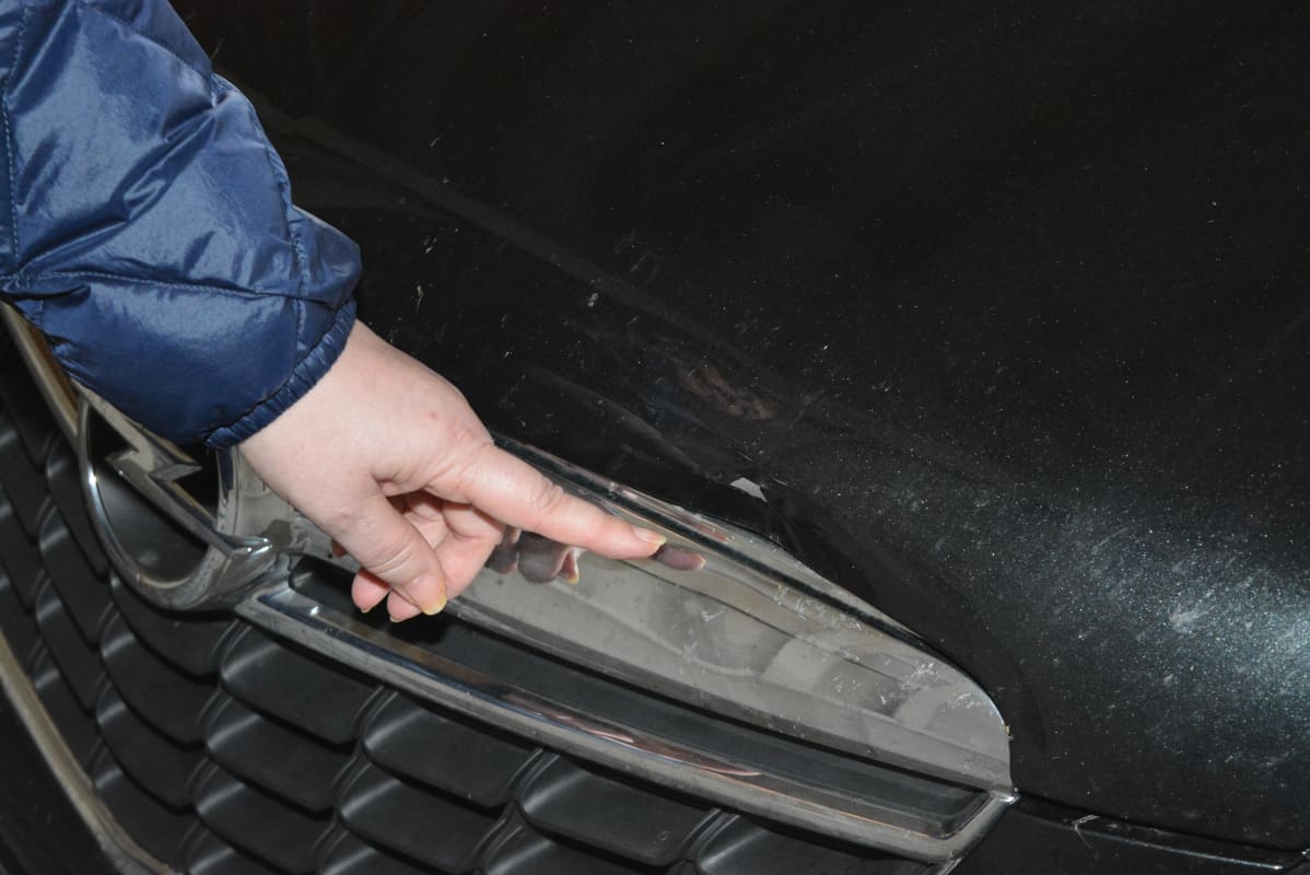 Helena Vesterlundin auto selvisi hirvikolarista melko pienin vaurioin.