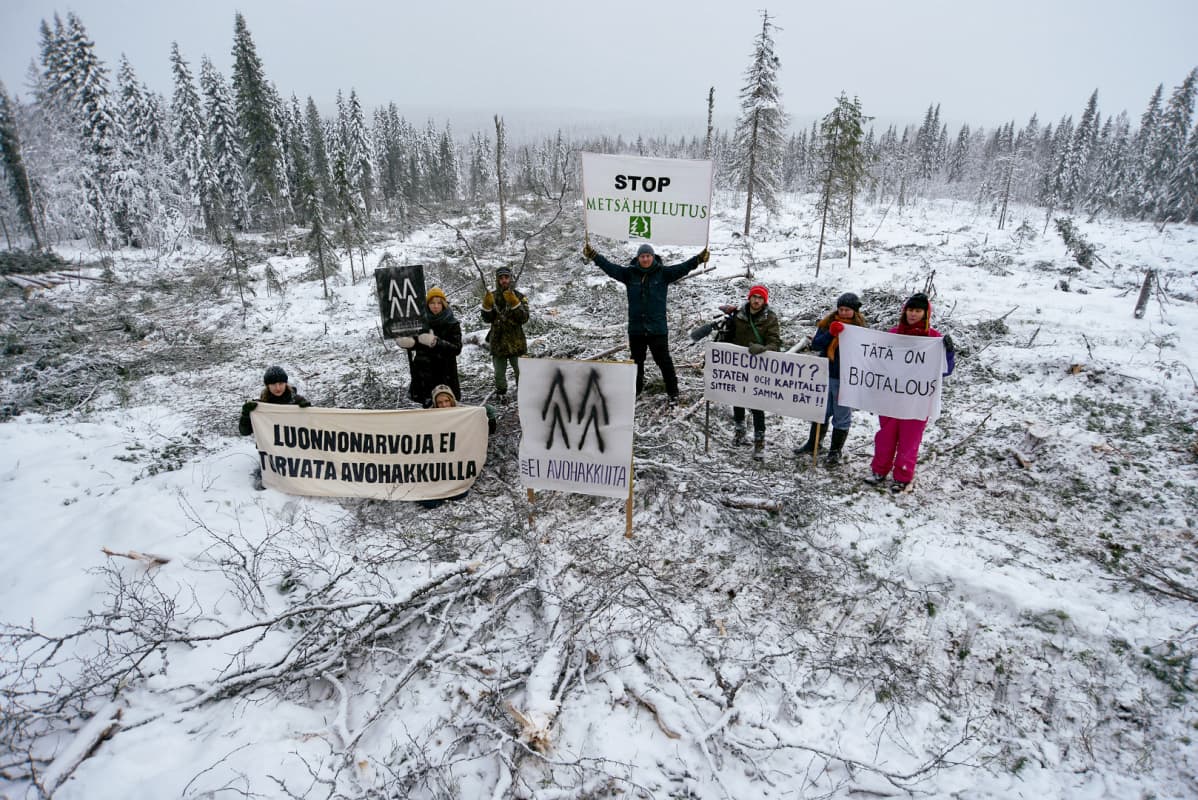 Mielenosoittajia Paljakan metsähakkuualueella Puolangalla Kainuussa.
