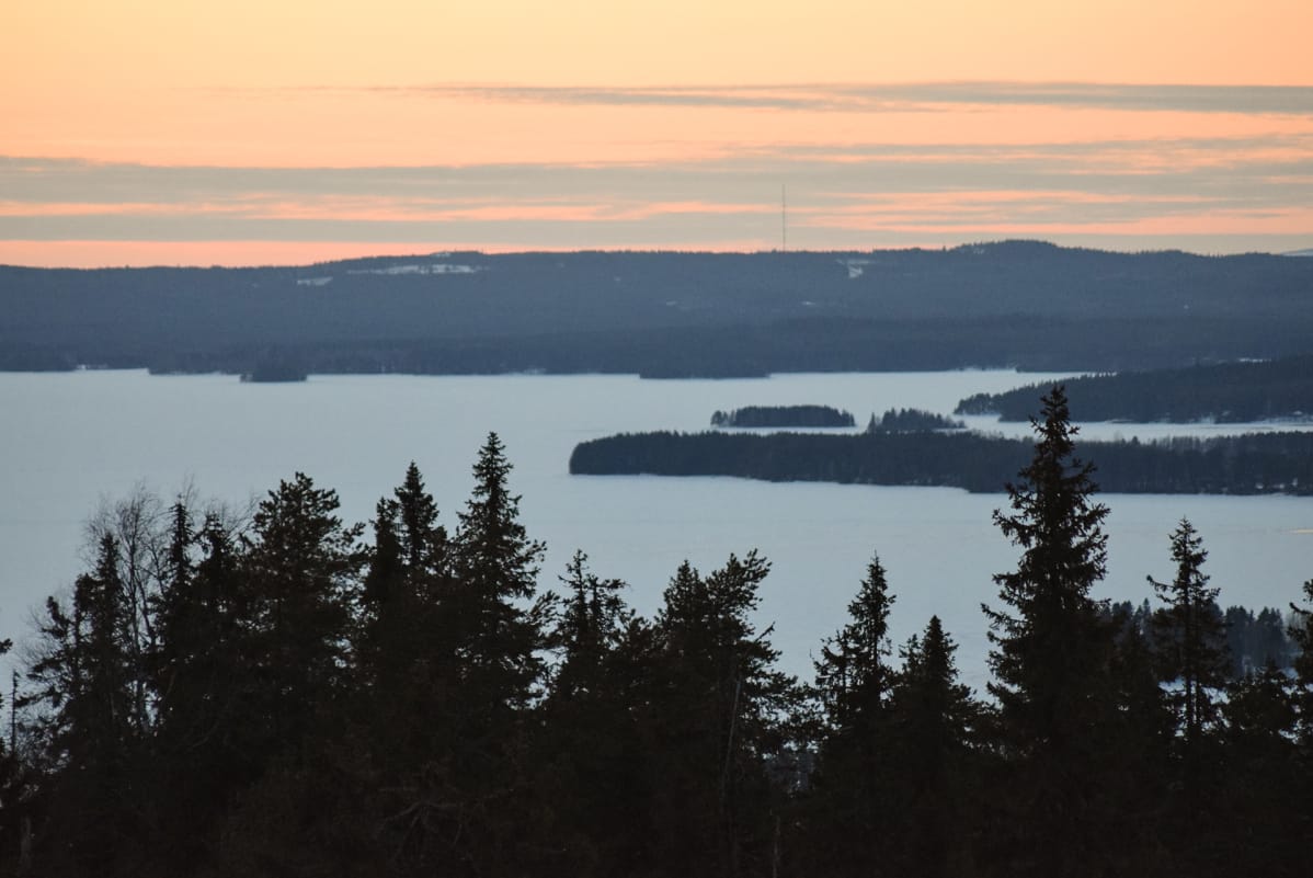Terrafamen kaivosvesien purkuputki laskee Sotkamon Nuasjärveen.