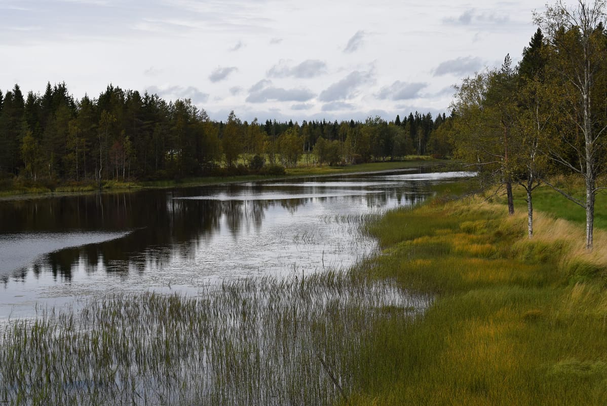 Talvivaaran kipsisakka-altaan kaivosvedet virtasivat sykyllä 2012 Sotkamon Jormasjärveen.