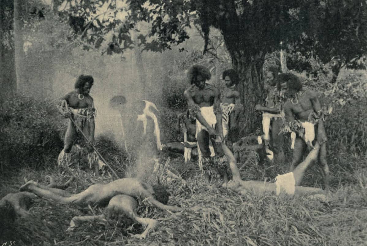 Kannibaalijoukko raahaamassa ihmisuhreja Fidzillä 1800-luvulla.