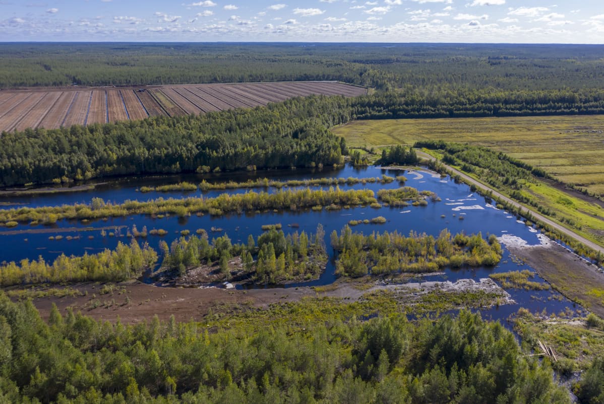 Veden peittämä entinen turvetuotantoalue
