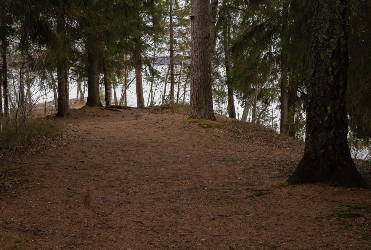 Kaivauspaikka Bodominjärvellä.