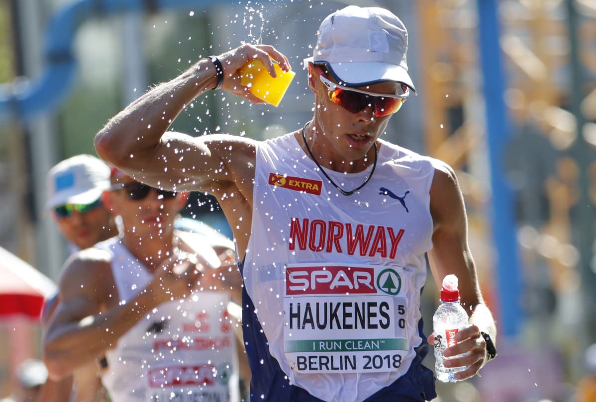 Håvard Haukenes
