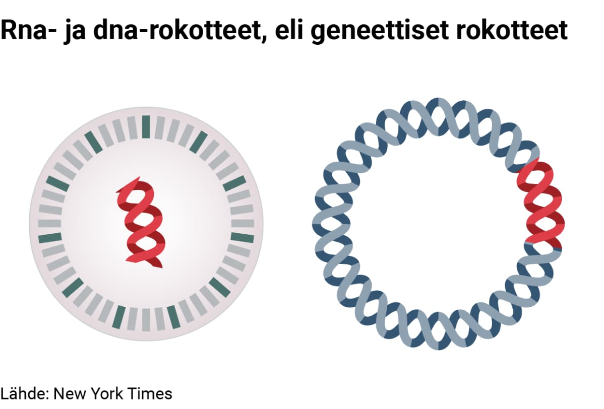 Rna- ja dna-rokotteet eli geneettiset rokotteet