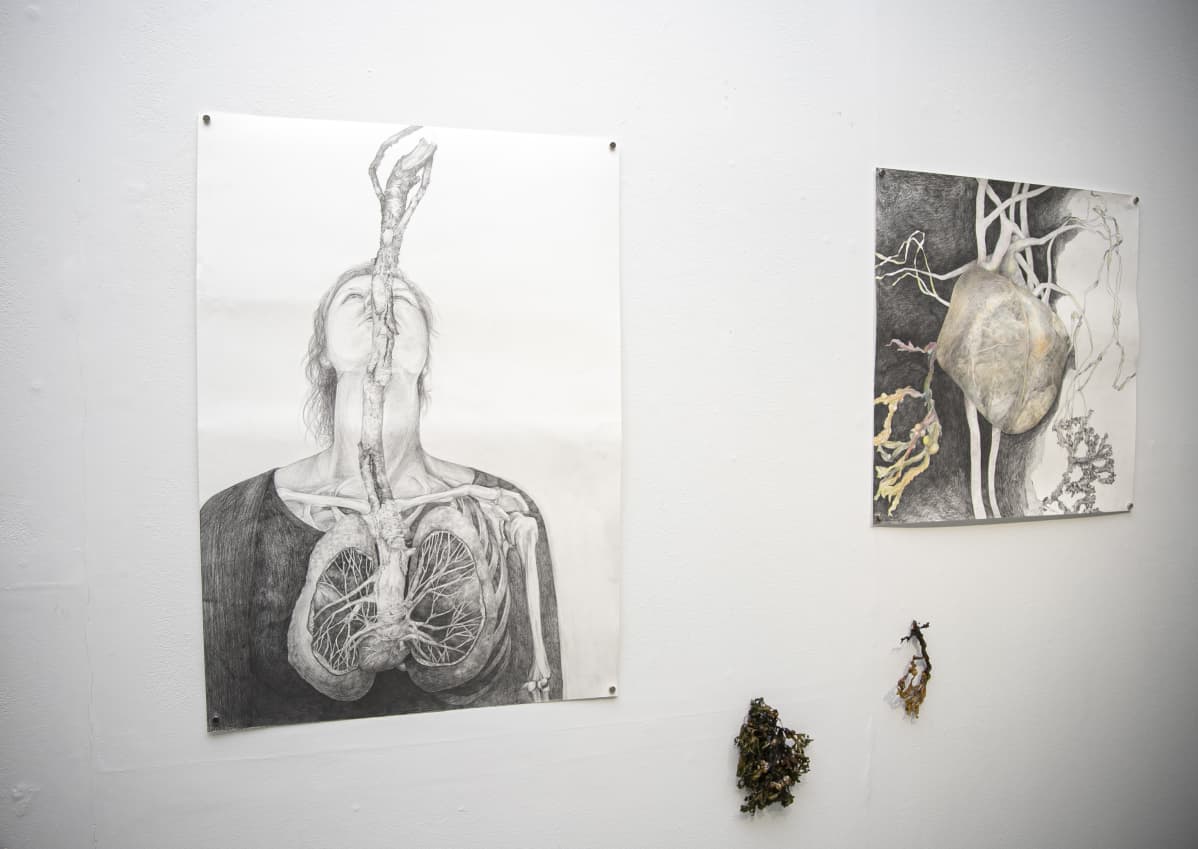 Kuvataidetta gallerian seinällä.
