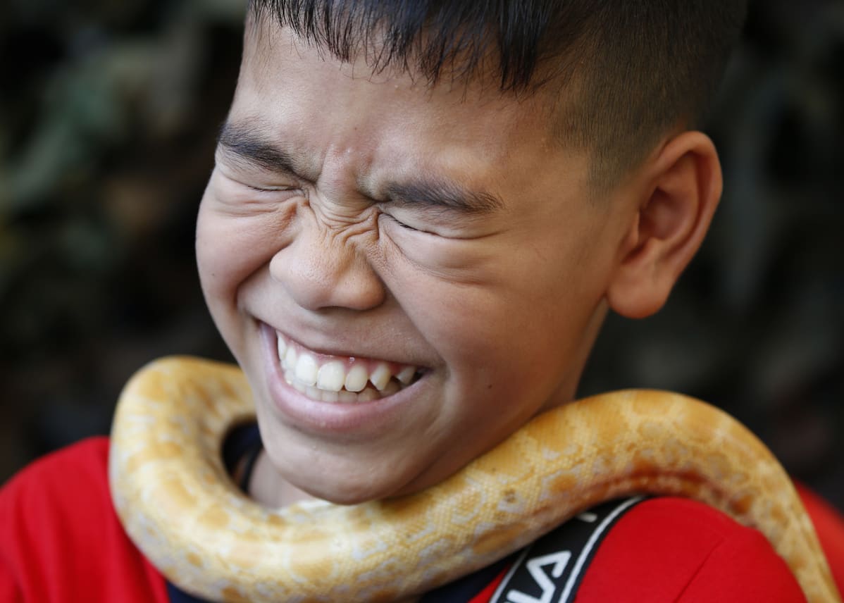 Poika python kaulassaan.