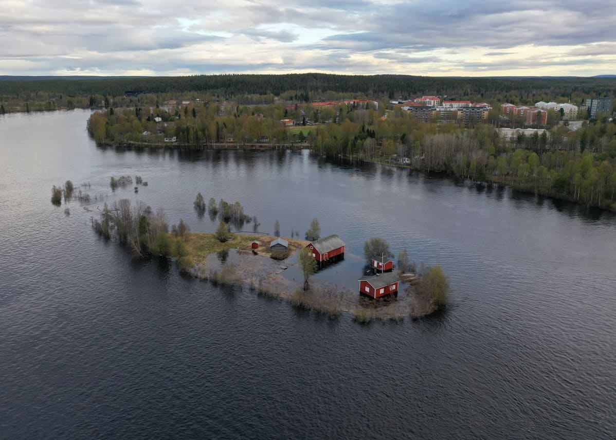 Kotisaari Rovaniemellä on tulvan valtaama 29.5. 2020.