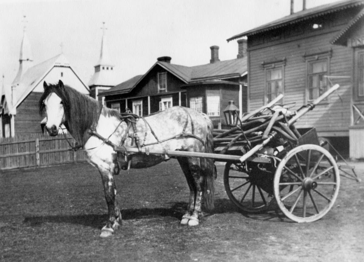 Hevonen ja kärryt