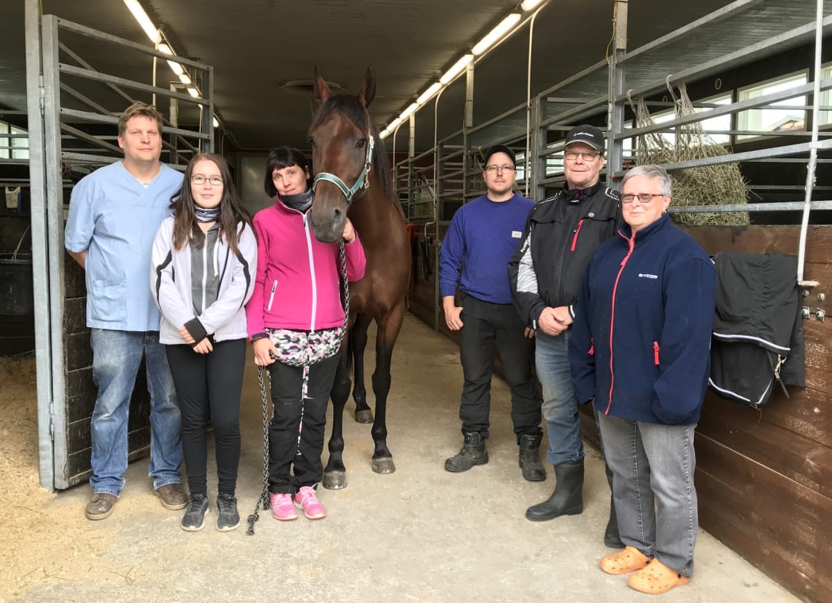 Ranch Kellyn taustajoukot kokoontuivat kesällä sankarin ympärille - eläinlääkäri Antti Tukiainen, hoitaja Heidi Konga, Anne Luttinen, kengittäjä Simo Ikonen sekä kotitallin isäntäväki Seppo Torniainen ja Liisa Torniainen.