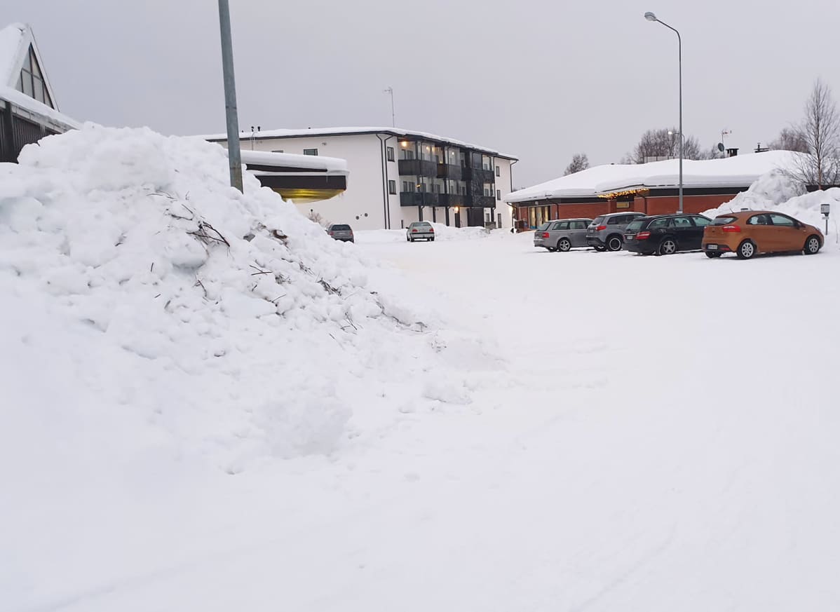 Lumikasoja Ivalossa tammikuussa 2020.