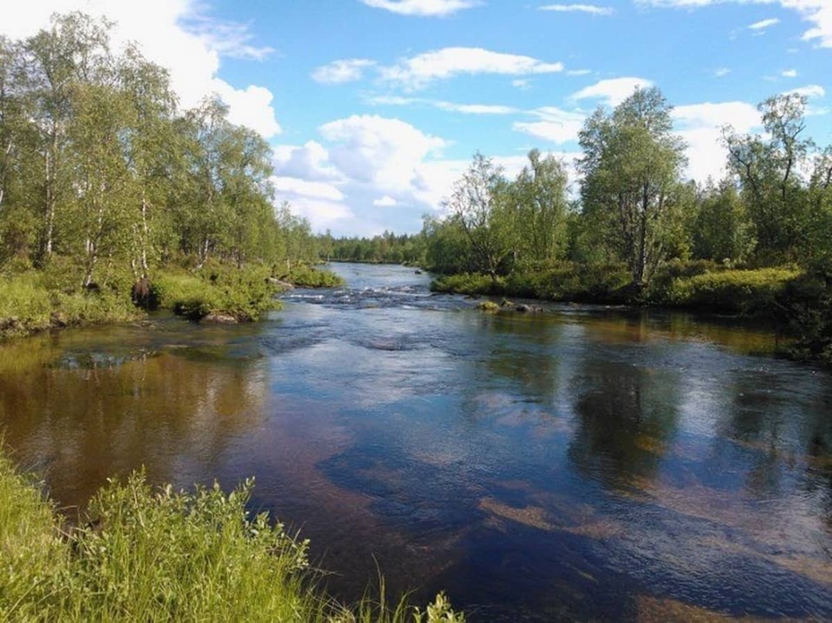 Tuntsajoki virtaa