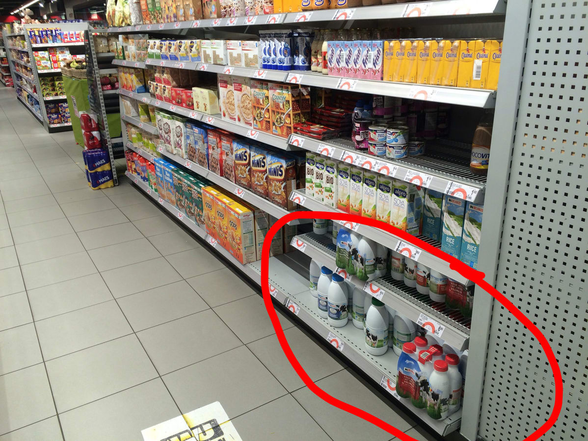 Maitohylly saksalaisessa kaupassa.