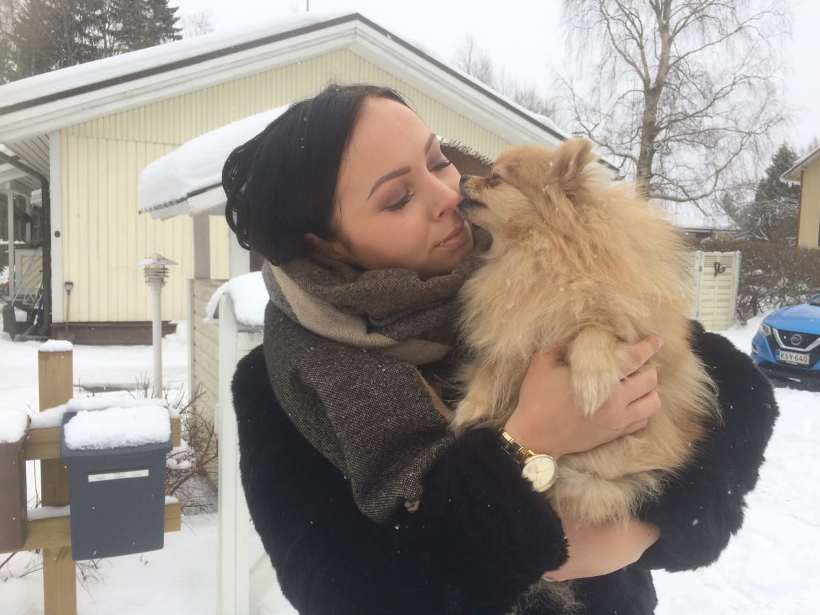 Koira, Pomeranian