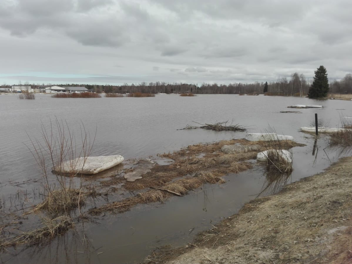 Kyrönjoen tulvaa Merikaarrossa 21.4.2018