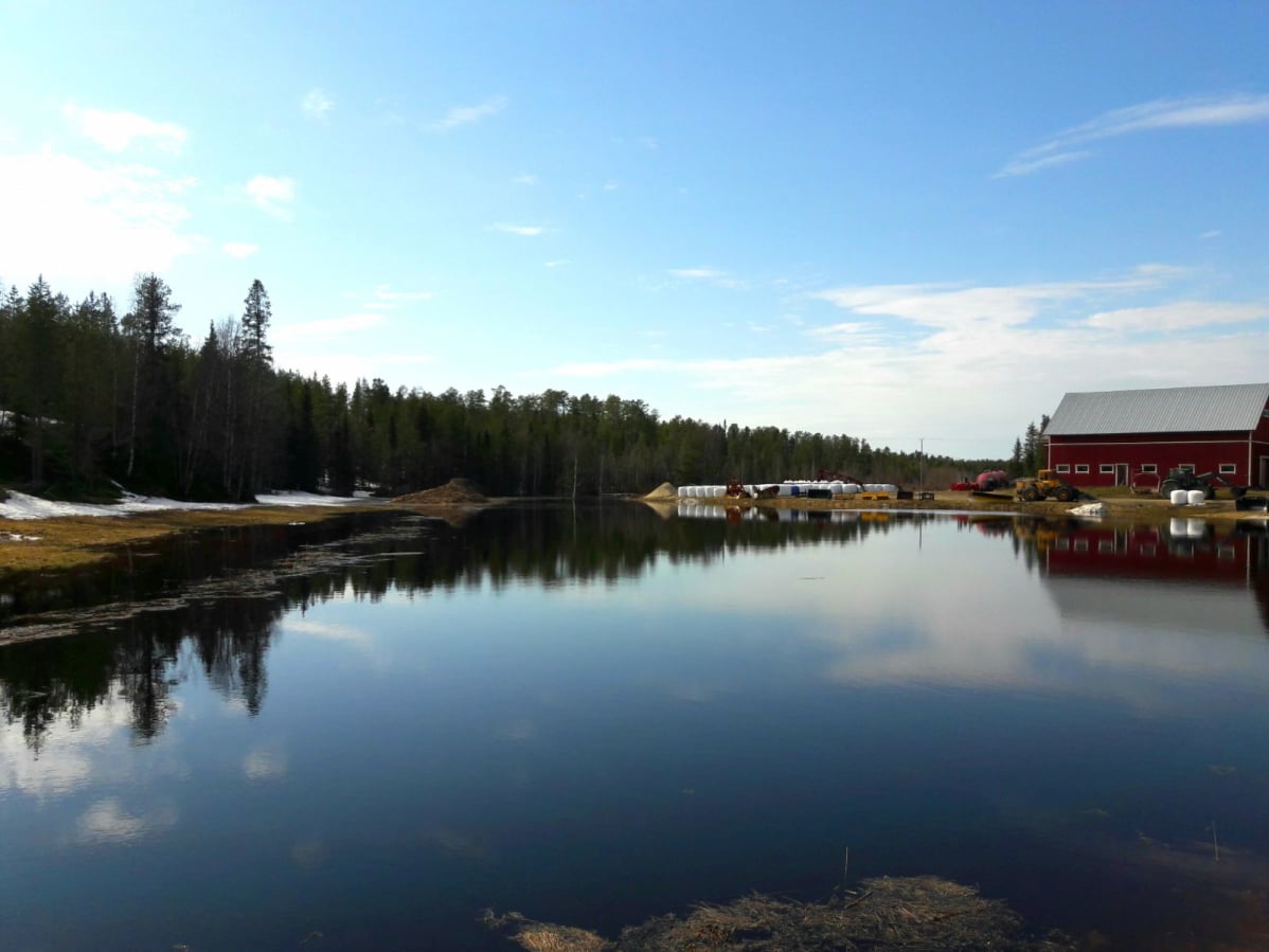 Kittilän Könkäällä tulvavesi on vallannut pellon