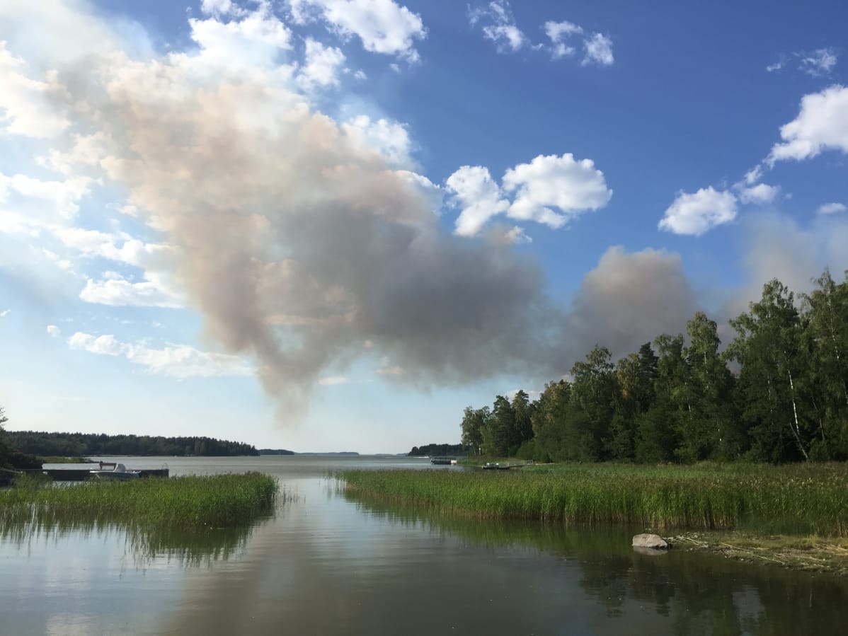 Pyhärannan metsäpalo