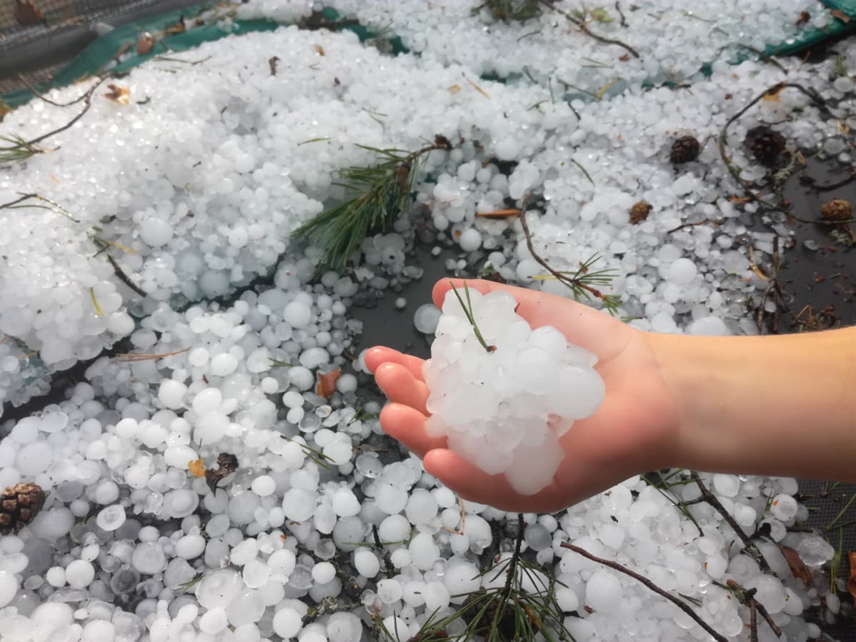 Alavudelle osui rankka raekuuro.