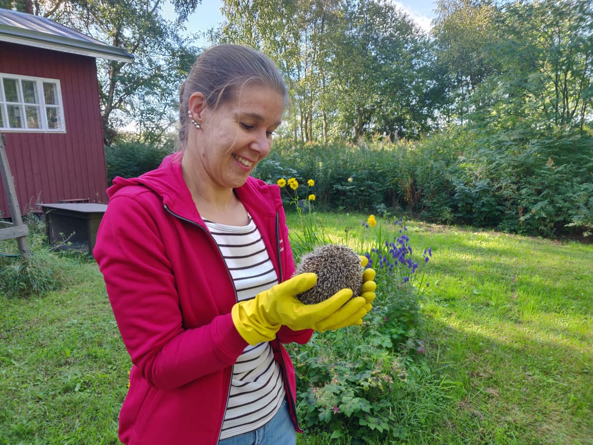 Rita Ylinen pitelee siilinpoikasta käsissään.