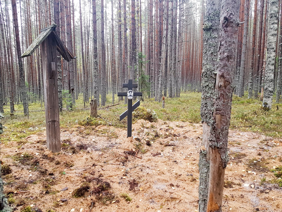 hautoja honkametsässä
