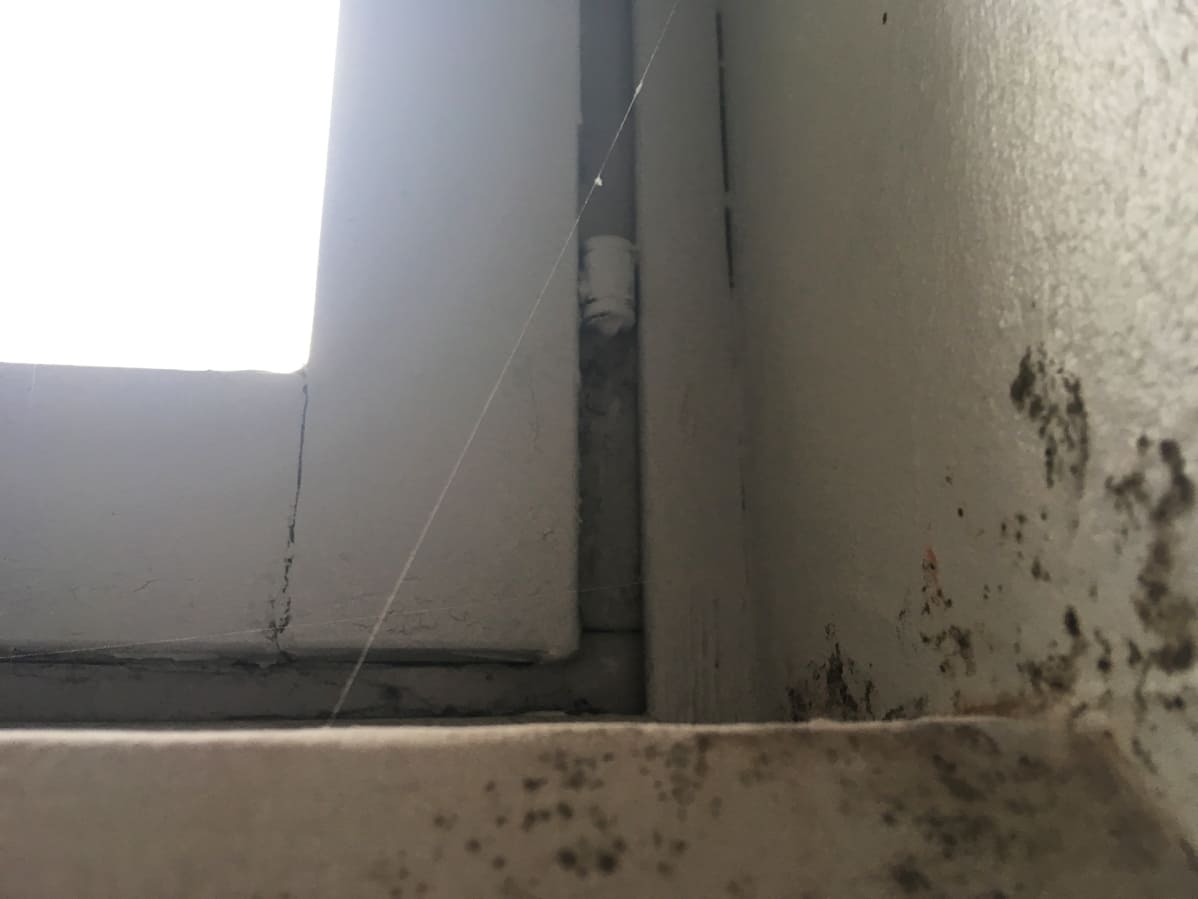 Toralinna kerrostalon asukkaan ottama kuva mahdollisesta homeesta