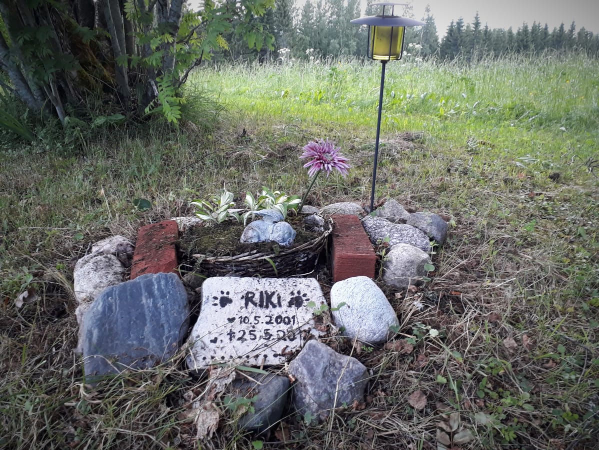 Koiran hauta