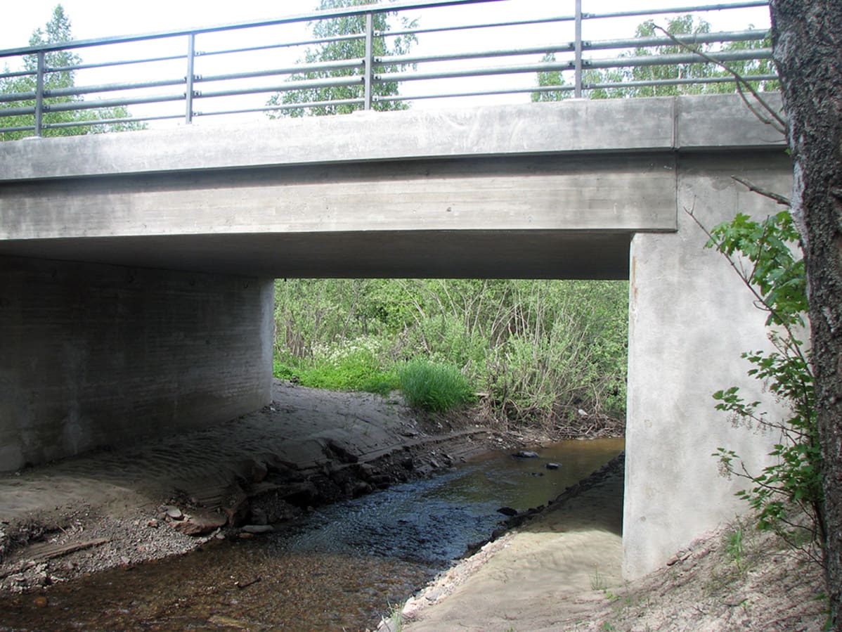 Kuivapolku.