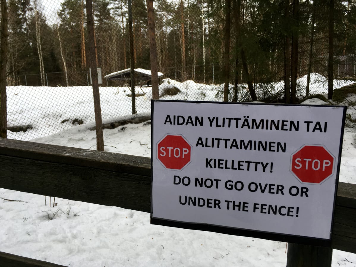 Varoituskyltitystä on lisätty Ähtärin eläinpuistossa tiistaisen susiaitauksella sattuneen tapaturman jälkeen.