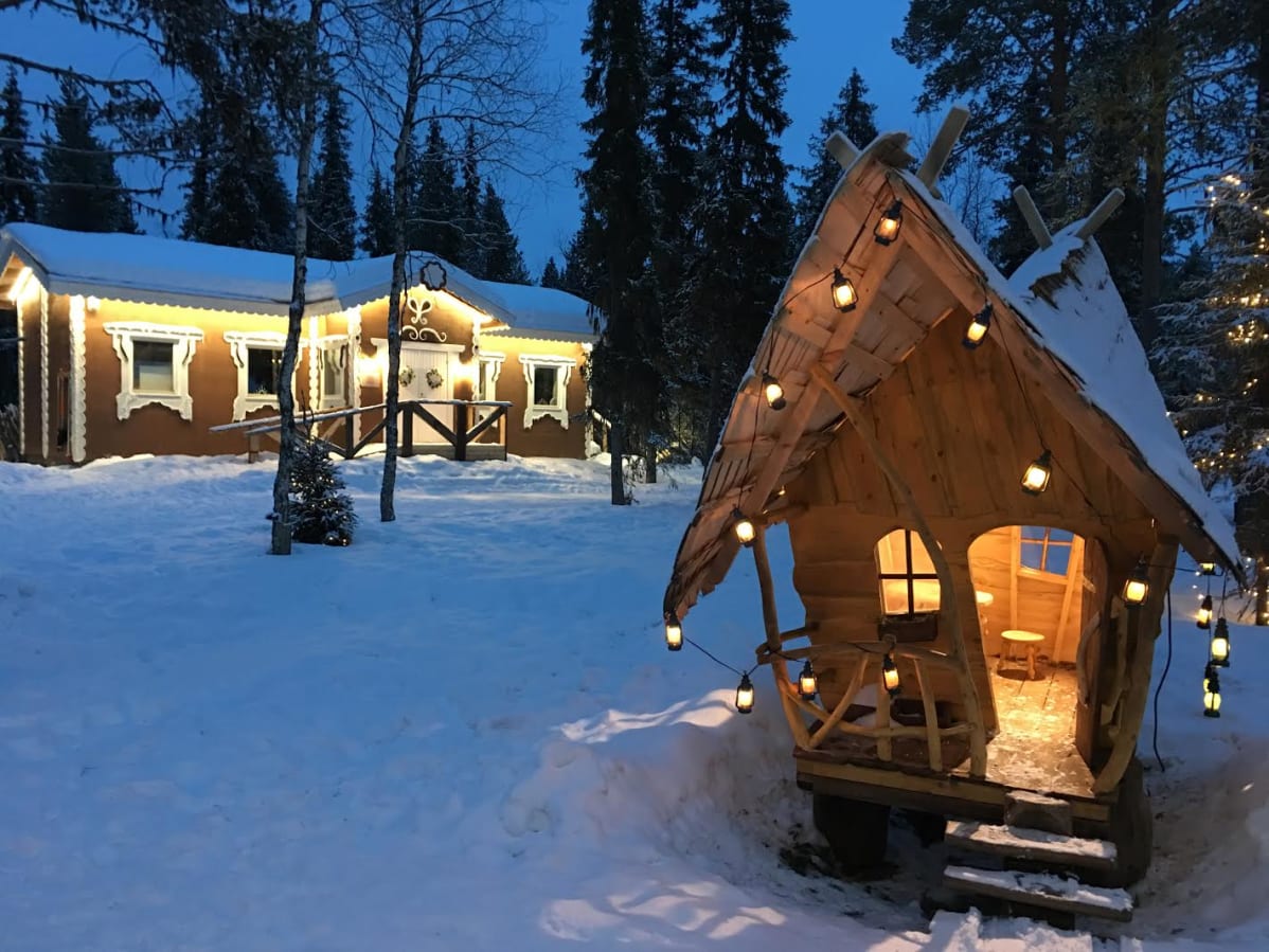 Tontun tulevaisuus riippuu siitä, mihin se koteloituu kiinni syntyessään.