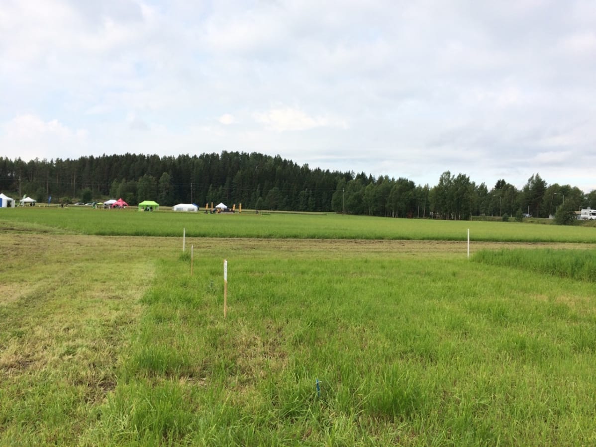 Etelä-Savon peltopäivässä, joka järjestettiin Karilan tutkimuspelloilla Mikkelin Rantakylässä.