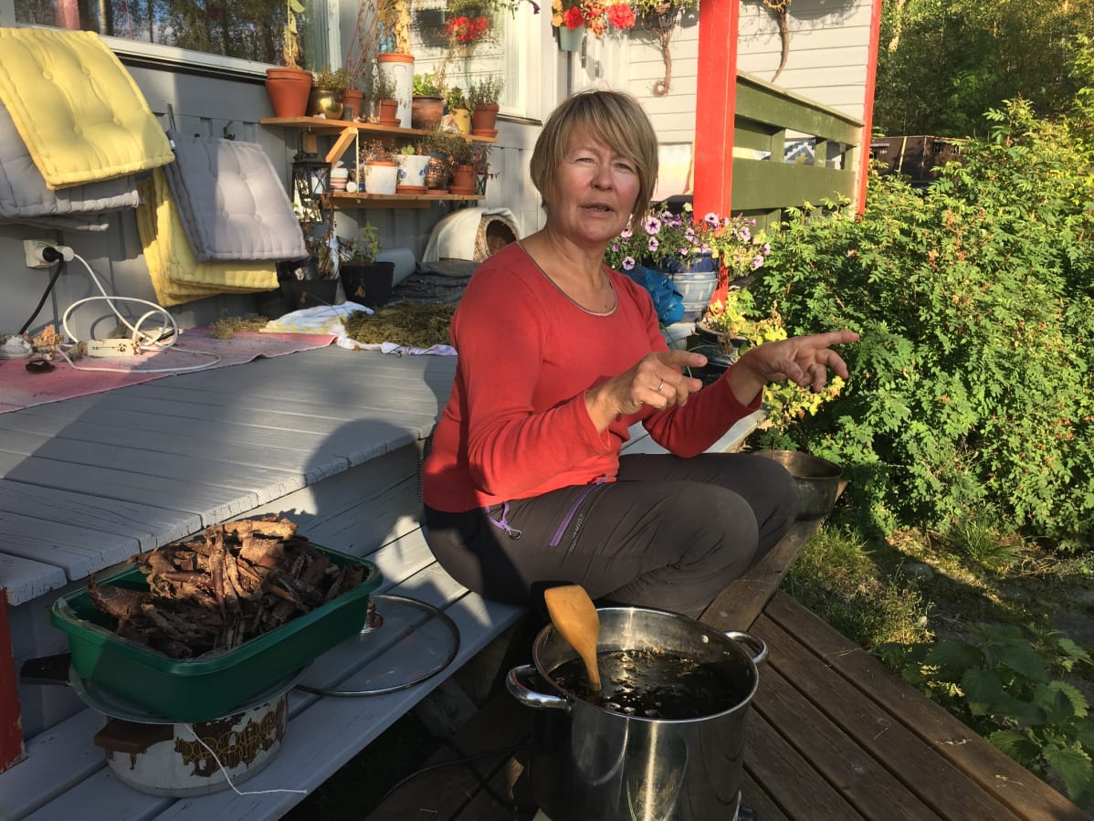 Venke Törmänen