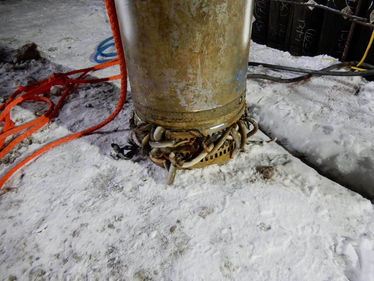 Nahkiaiset tukkivat vesivoimalaitostyömaalla vesipumpun.
