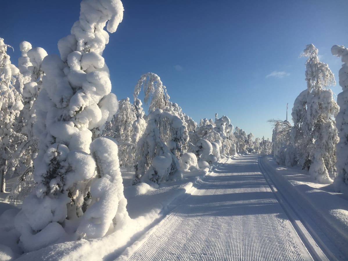 Latu Kapustavaaralla.