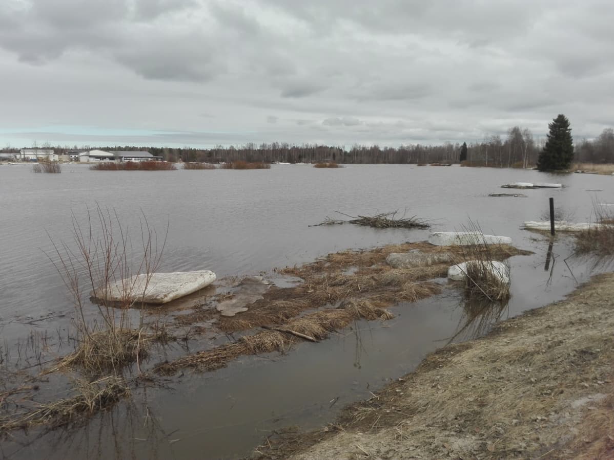 Kyrönjoen tulvaa Merikaarrossa 21.4.2018