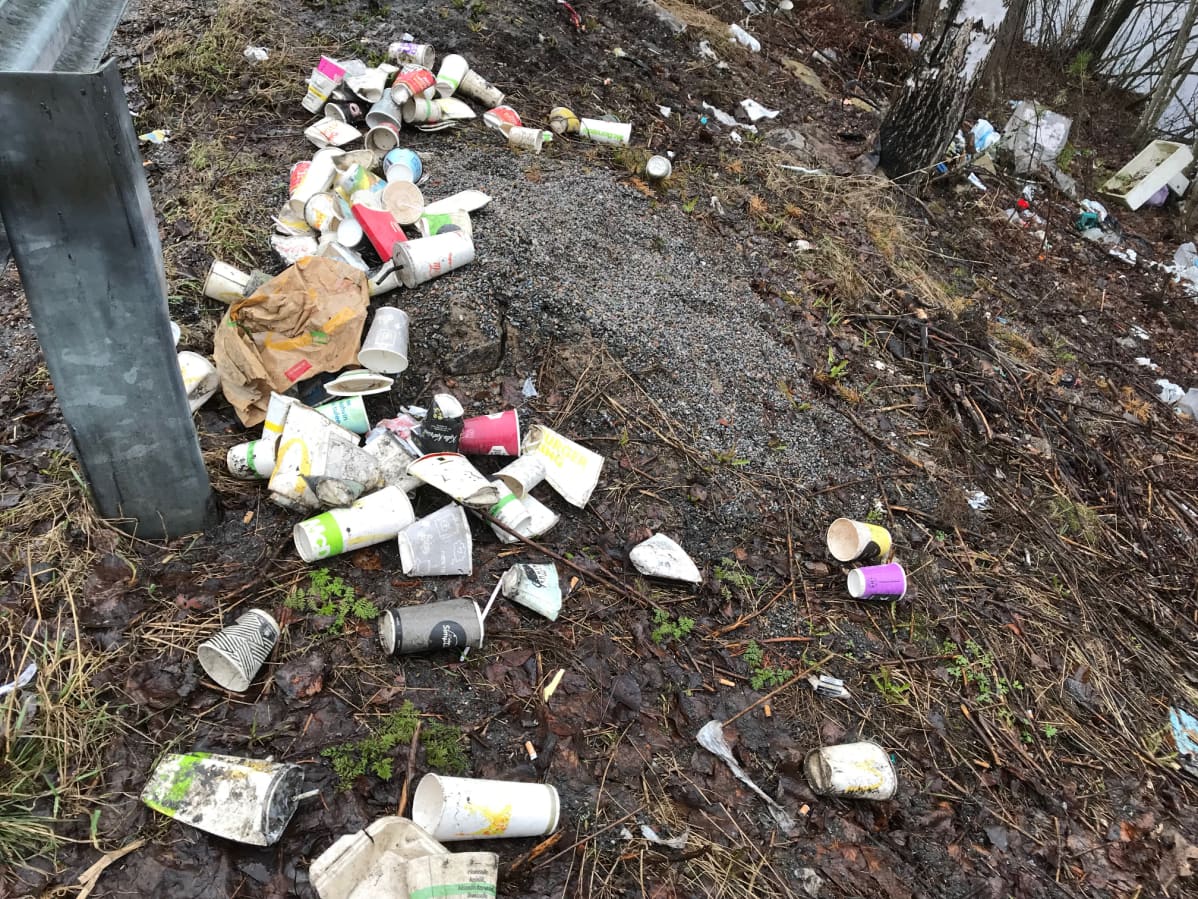 Roskie tienpientareella Mustalahden levähdysalueella.