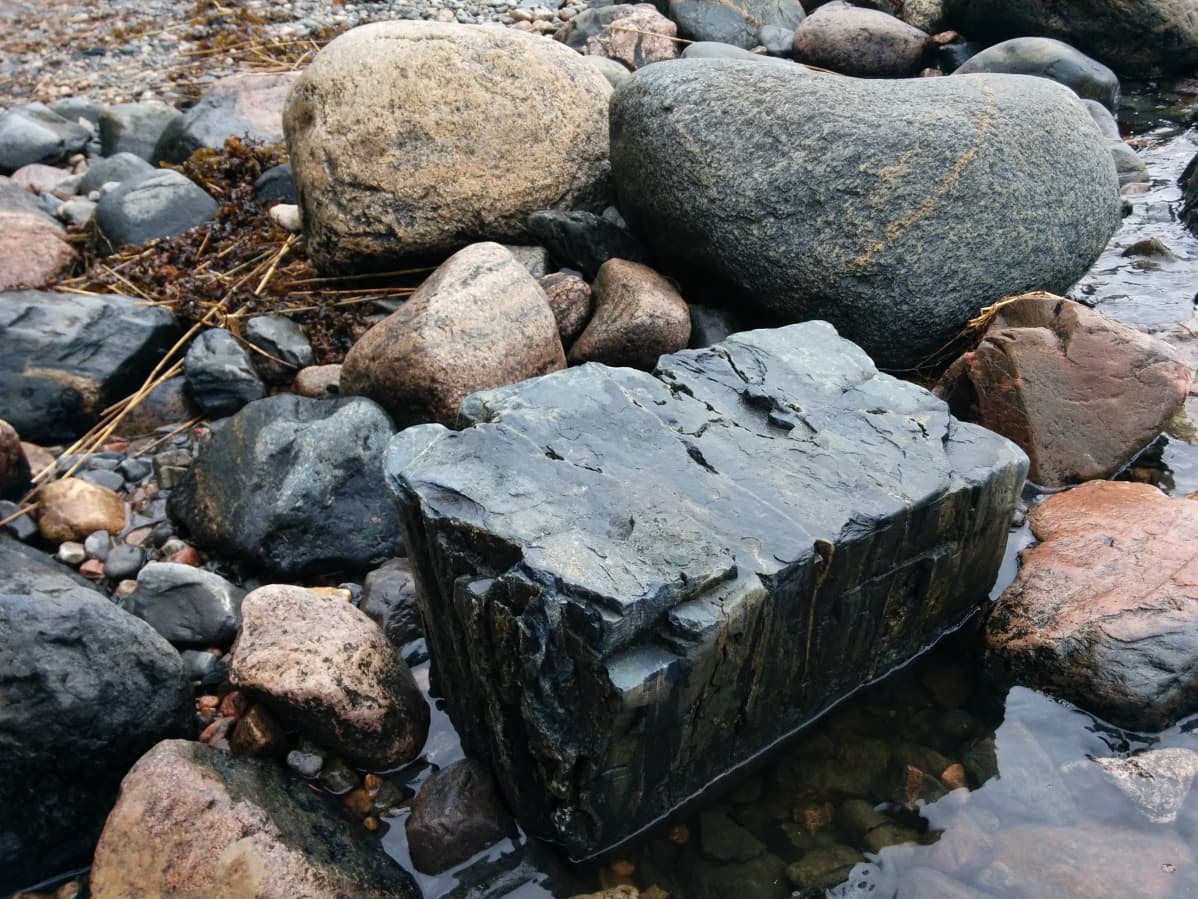 Suorakaiteen muotoinen tyynylaava kivi. ympärillä osittain vedessä jääkauden pyöristämiä rantakiviä.