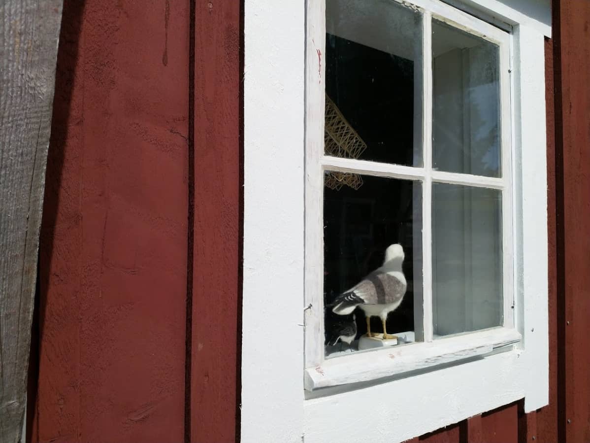 Ikkuna
