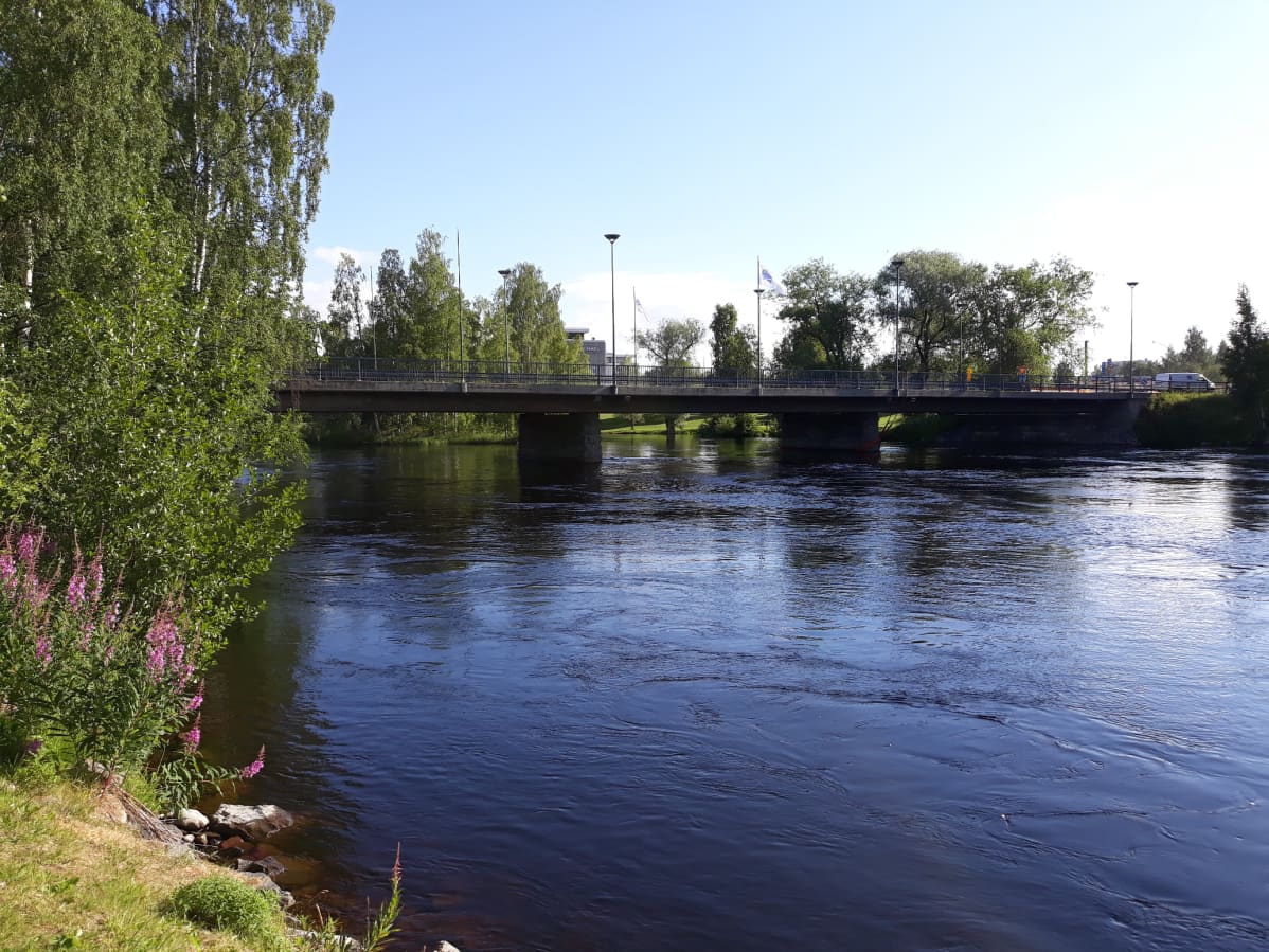 Itäkoski virtaa hitaasti Joensuussa.